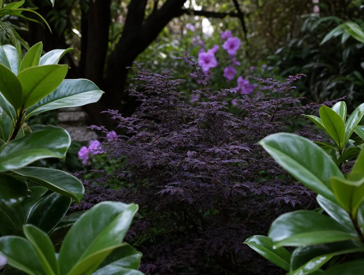giardino all'ombra