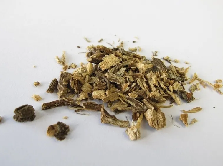 Radici di echinacea