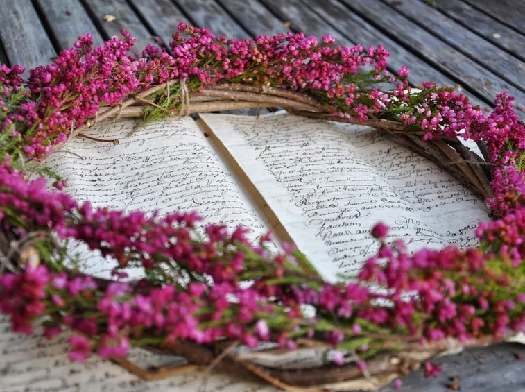 I fiori di erica calluna si possono usare per realizzare decorazioni e centri tavola