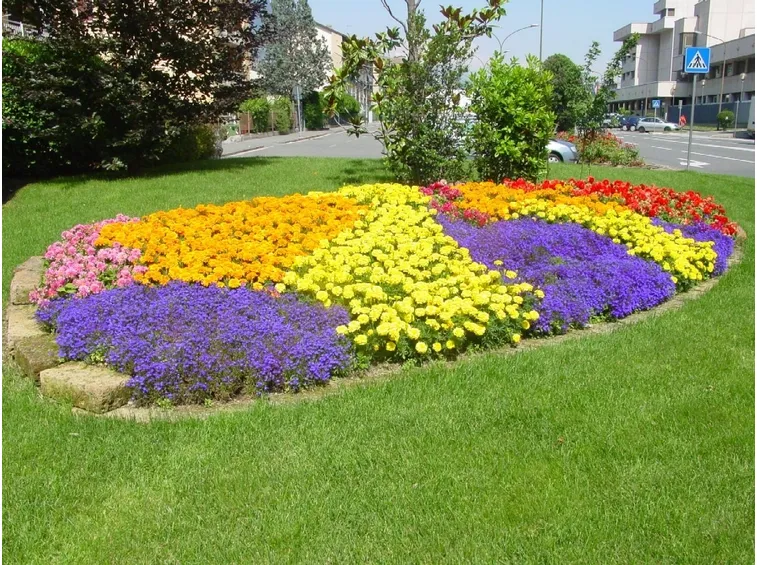 Aosta aiuola colorata