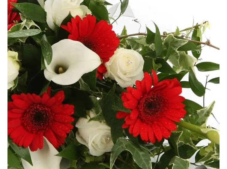 Bouquet da sposa con gerbere rosse