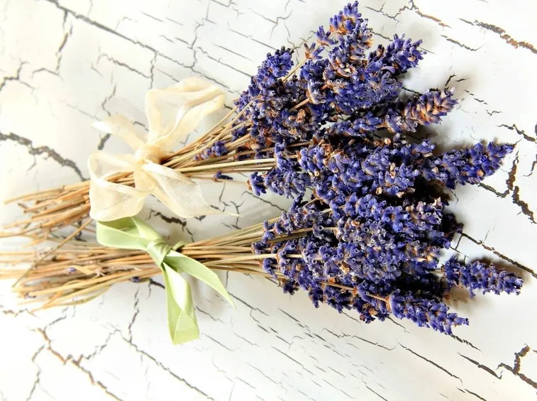 Mazzetto di fiori di lavanda