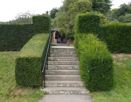 Prima e dopo il taglio della siepe
