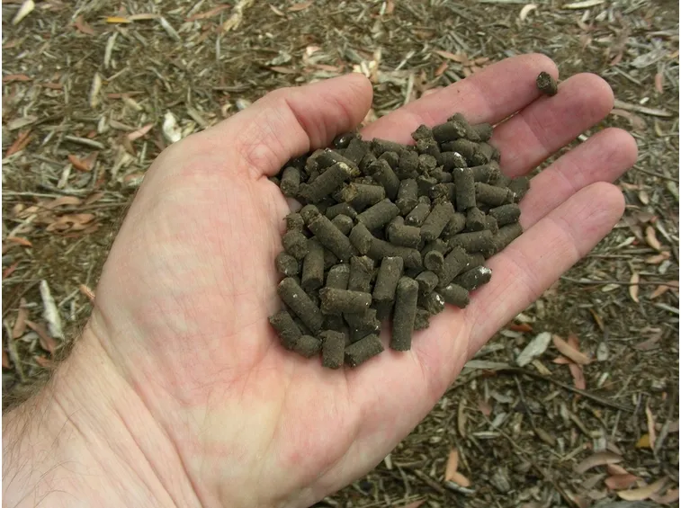 Fertilizzante organico