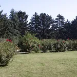 giardino con siepi di roseti