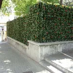Siepe finta