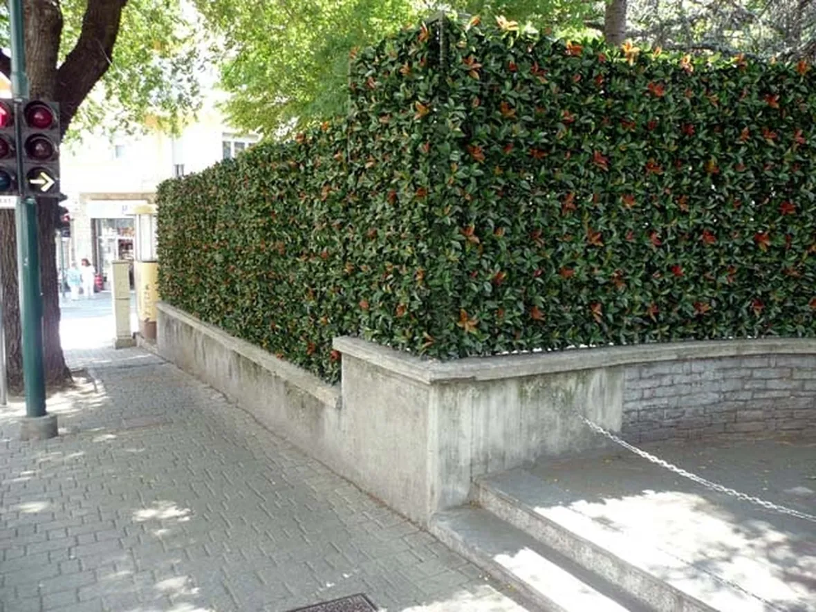 Siepe finta