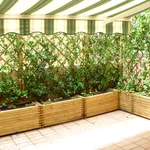 siepe pergolato balcone