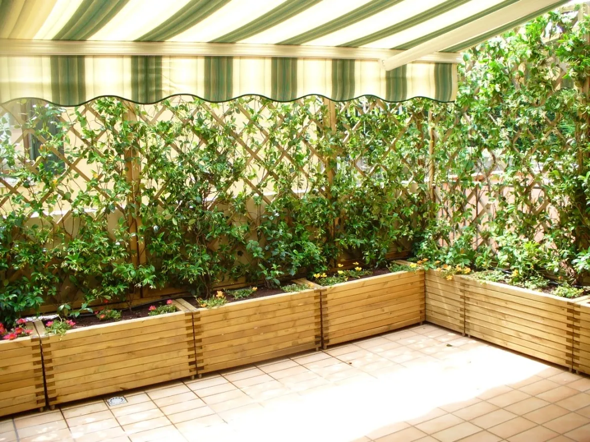 siepe pergolato balcone