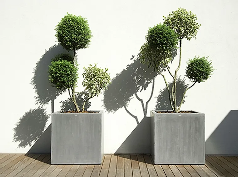 Vasi sul terrazzo