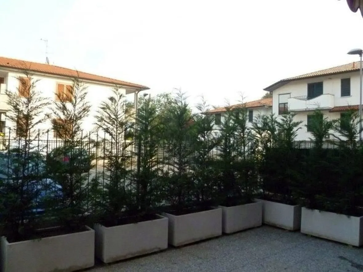 Siepe sul terrazzo