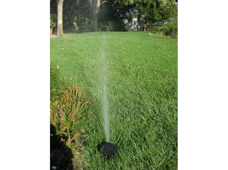 irrigatore.