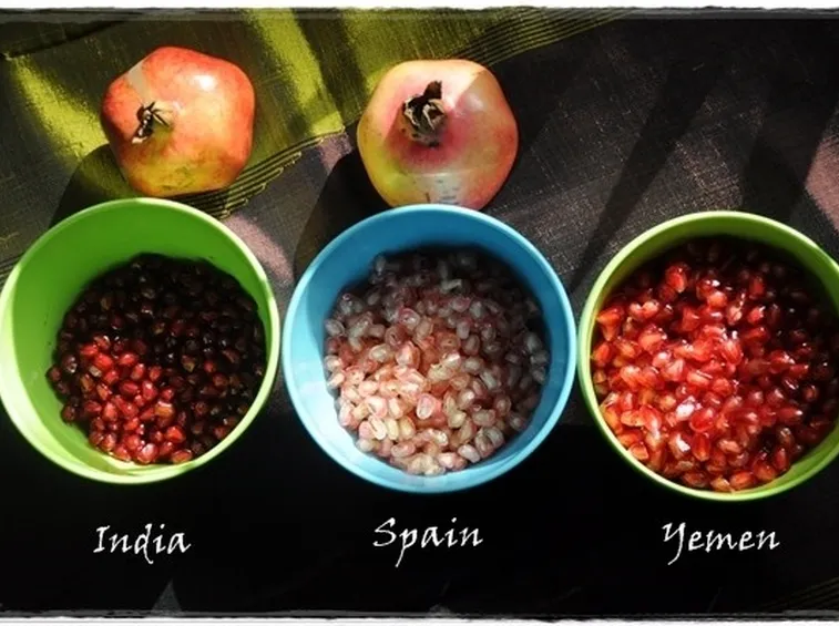 varietà melograno