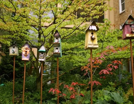 Casette per uccelli in giardino