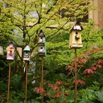 Casette per uccelli in giardino