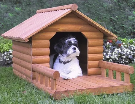 Cuccia per cani