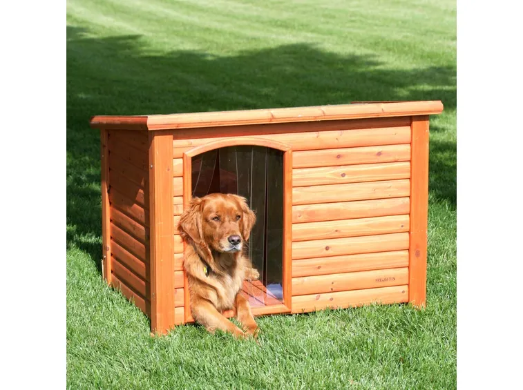 Cuccia per cani