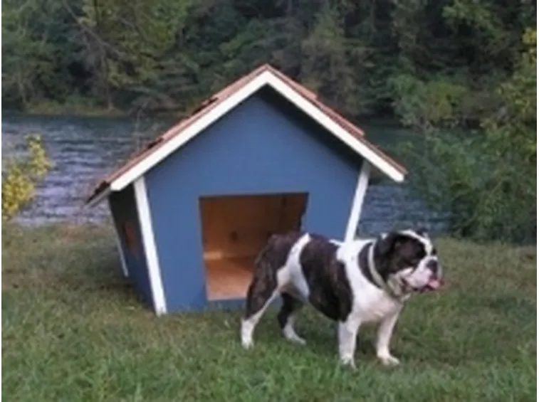 Cuccia per cani