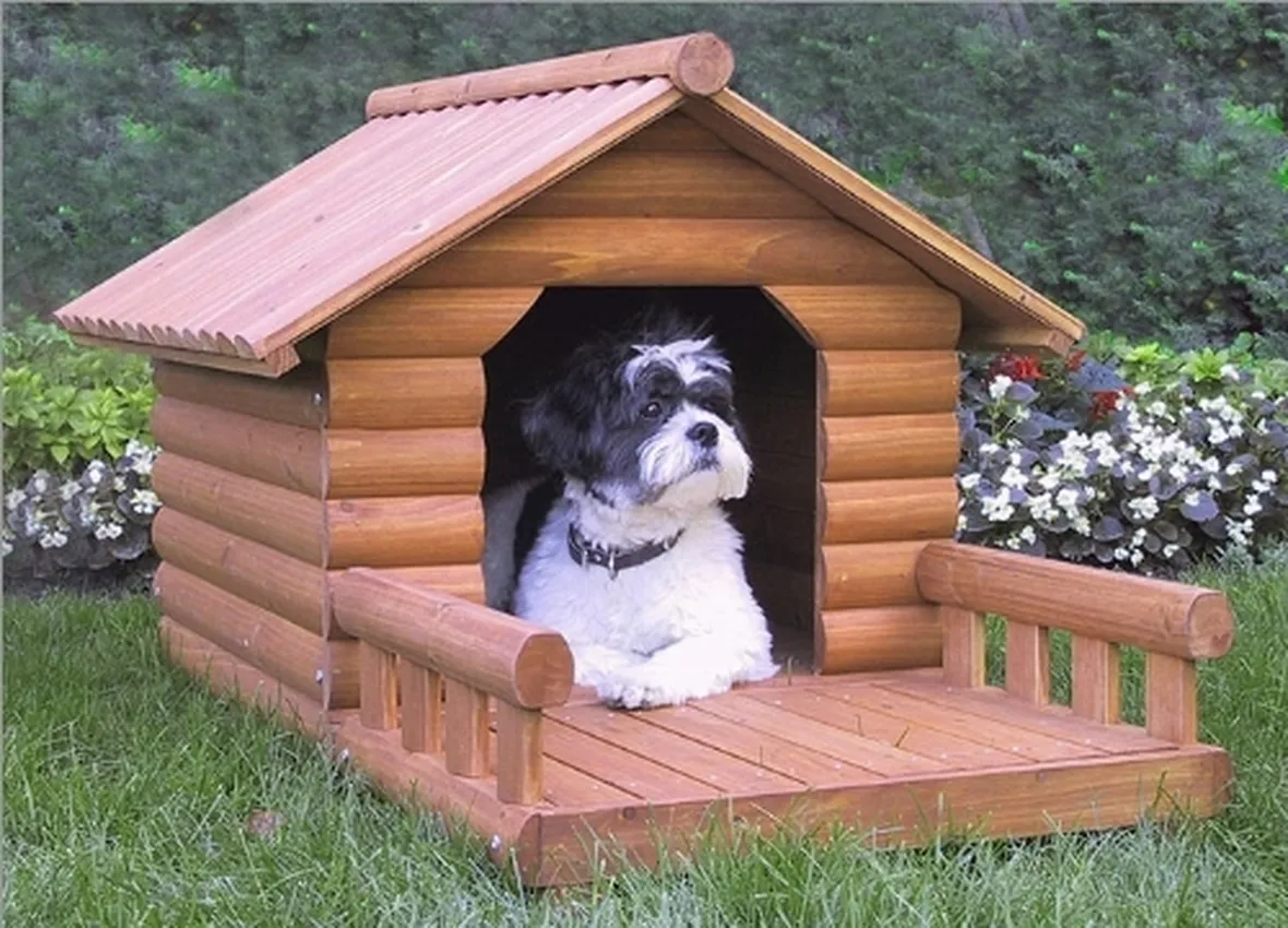 Cuccia per cani