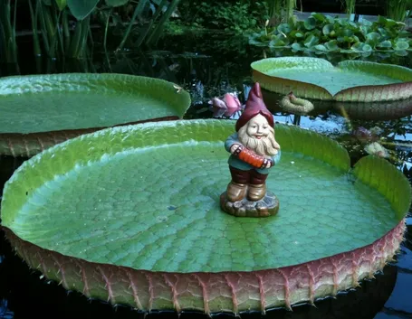 Nani da giardino