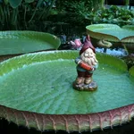 Nani da giardino