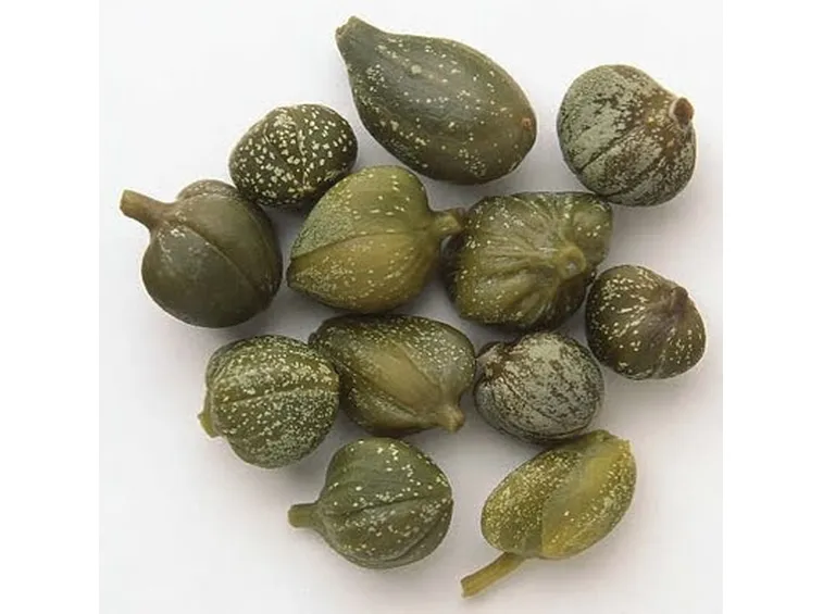 Il bocciolo del cappero