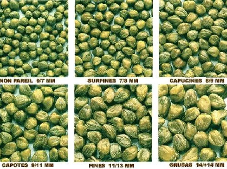 Gradezze capperi