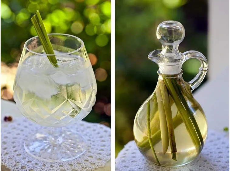 Bevande e tisane di citronella