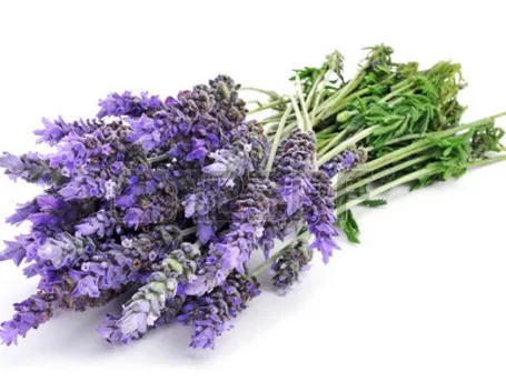 Mazzo di lavanda