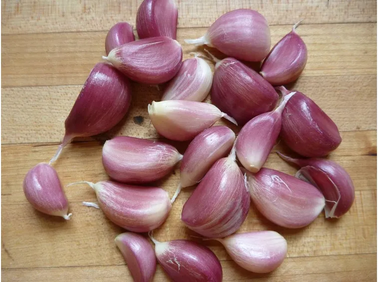 Varietà di aglio rosso