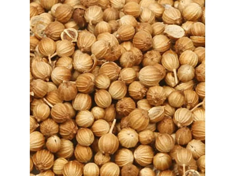 Frutti (semi) del coriandolo