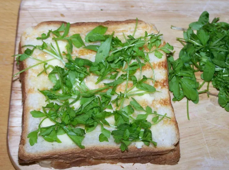 Toast al formaggio e crescione