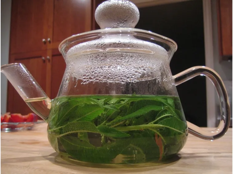 Infuso foglie erba luisa