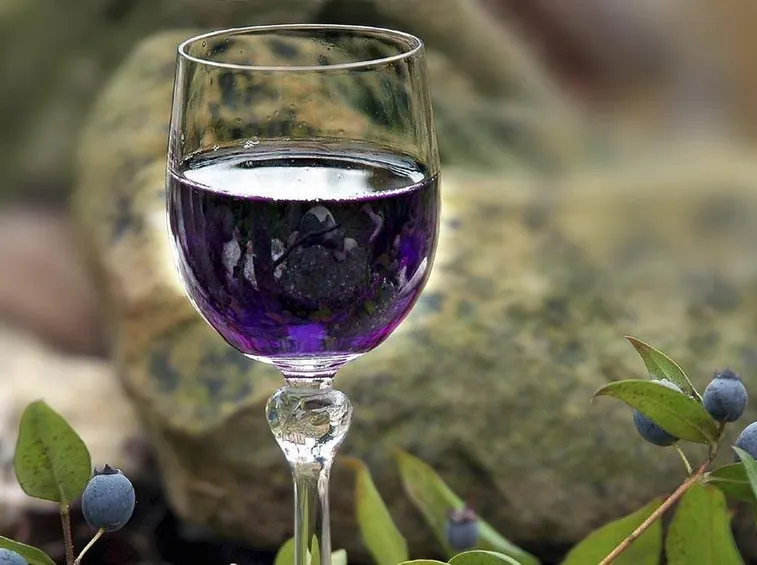 Il tipico liquore di mirto è preparato macerando le bacche di mirto nell’alcool ed aggiungendo lo zucchero.
