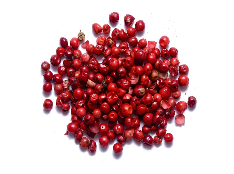 Piante aromatiche