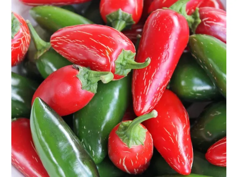 Peperoncini di varietà Japaleno
