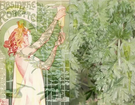 l'assenzio, la fata verde