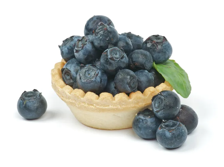 Il mirto può essere coltivato in vaso