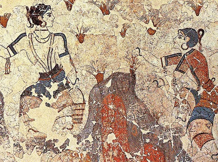 Raccoglitori di zafferano (Santorini)