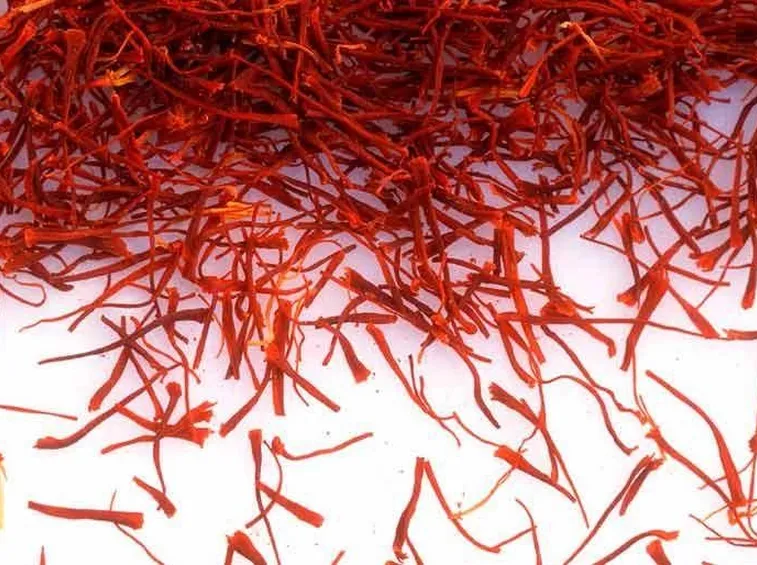 Pistilli di zafferano essiccati