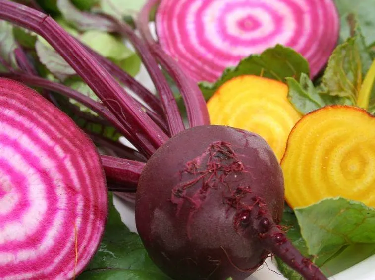 Barbabietola rossa di Chioggia