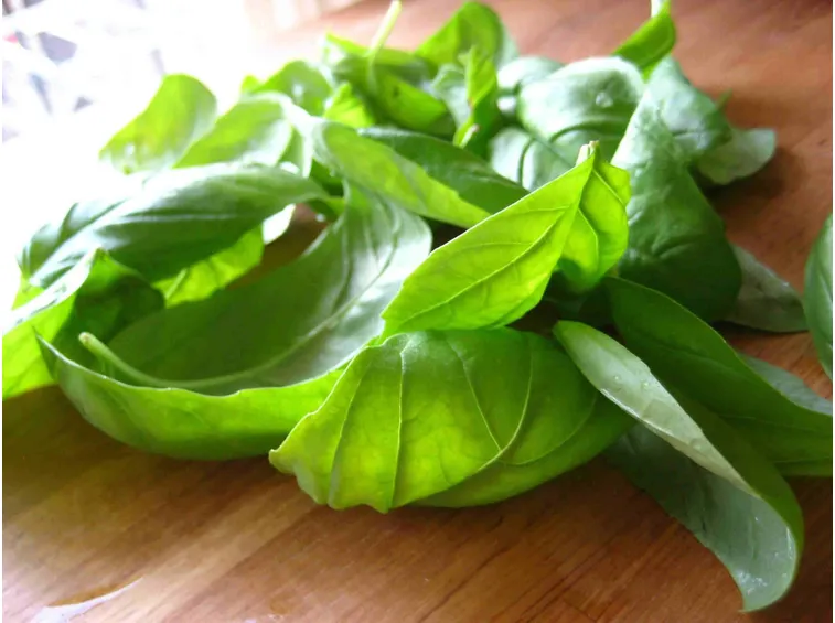 Piantine adatte al trapianto