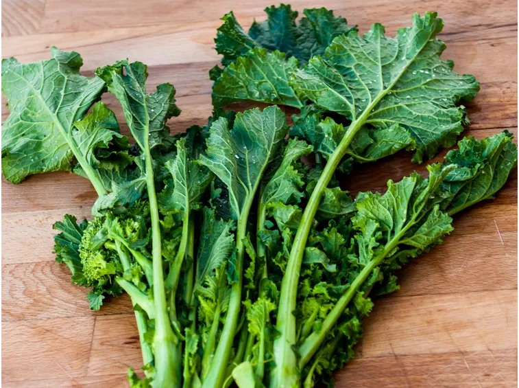 Cime di rapa raccolte