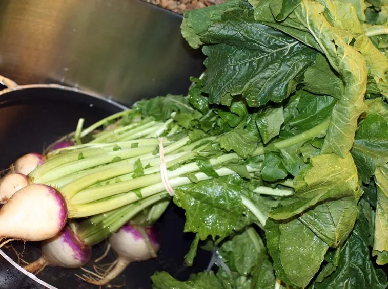 Cime di rapa fresche
