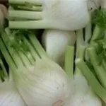 finocchio
