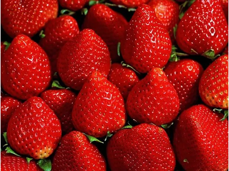 fragole4