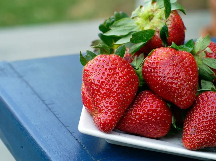 fragola3