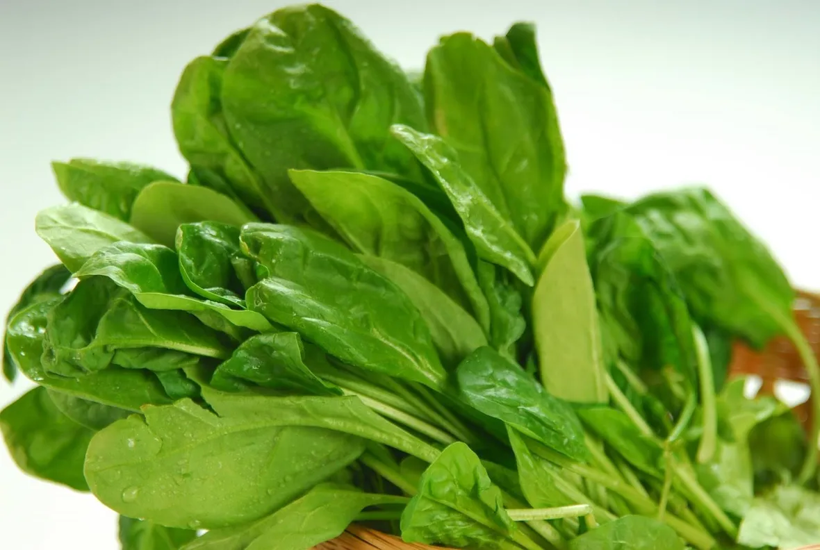 spinaci