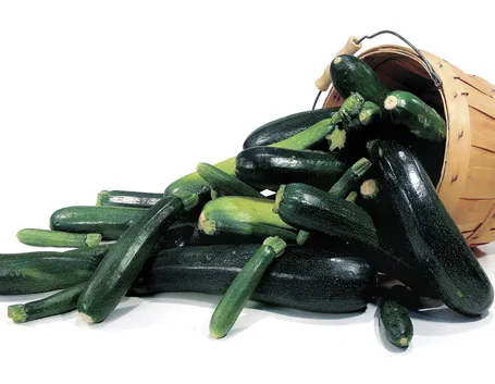 zucchine1