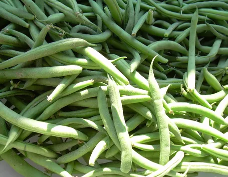 Fagiolini
